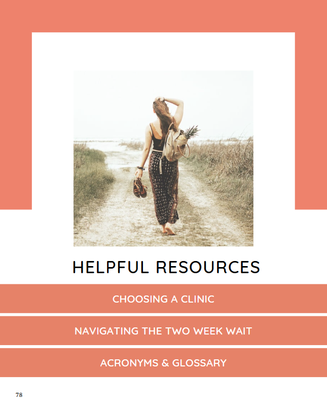 Fertility Journal - AVAILABLE FOR PREORDER