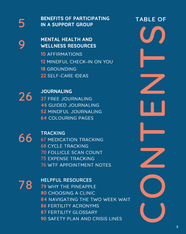 Fertility Journal - AVAILABLE FOR PREORDER